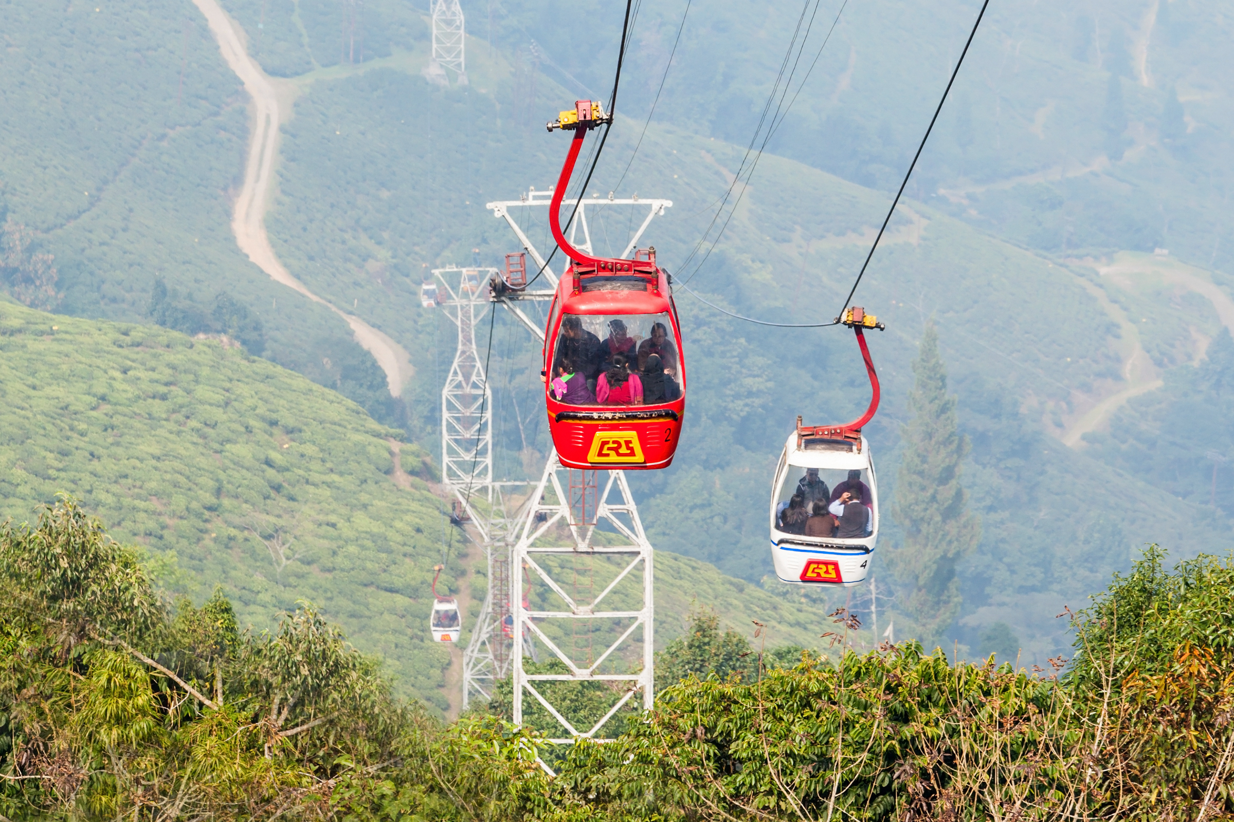 darjeeling (3).webp